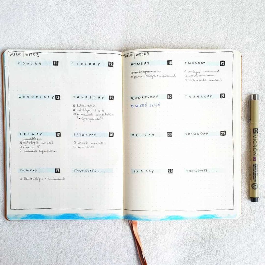 semainier bullet journal