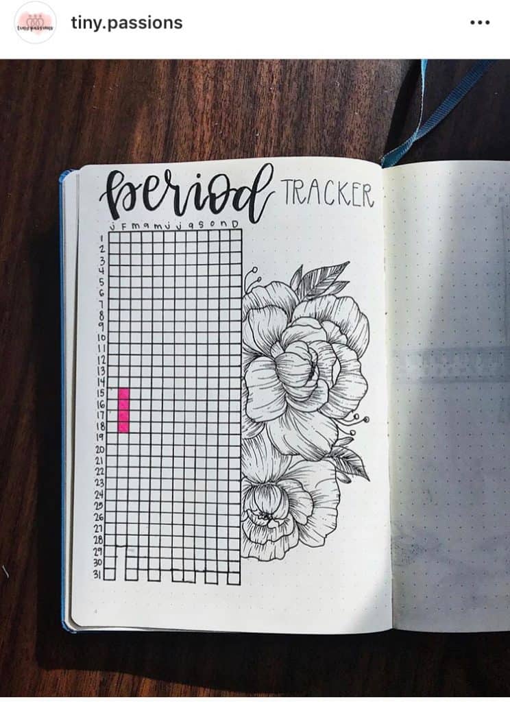 idée bullet journal minimaliste tracker de règles